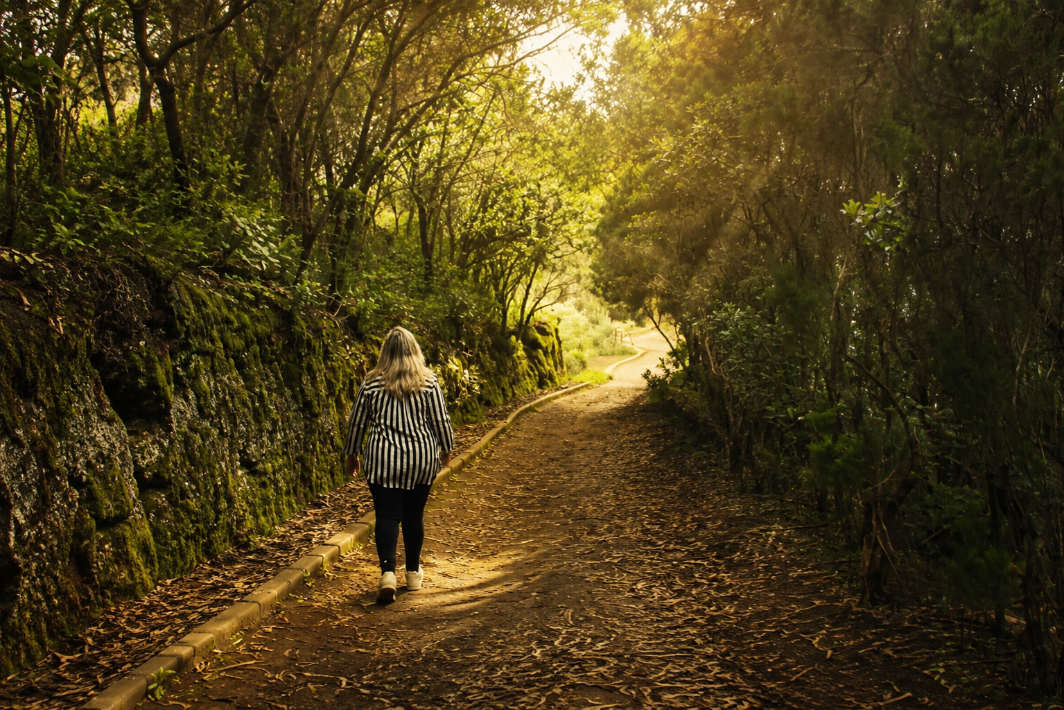 andando por sendero